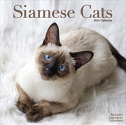 Buy Cats - Siamese Calendar 2026 Square Cat Wall Calendar - 16 Month