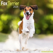 Buy Fox Terrier Calendar 2026 Square Dog Breed Wall Calendar - 16 Month