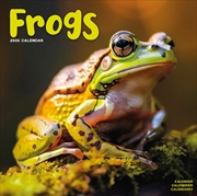 Buy Frogs Calendar 2026 Square Animal Wall Calendar - 16 Month