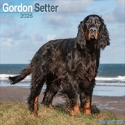 Buy Gordon Setter Calendar 2026 Square Dog Breed Wall Calendar - 16 Month