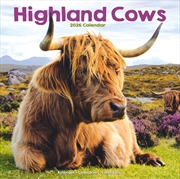 Buy Highland Cows Calendar 2026 Square Animal Wall Calendar - 16 Month