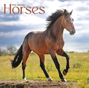 Buy Horses Calendar 2026 Square Horses Wall Calendar - 16 Month