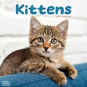 Buy Kittens Calendar 2026 Square Cats Wall Calendar - 16 Month