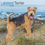 Buy Lakeland Terrier Calendar 2026 Square Dog Breed Wall Calendar - 16 Month