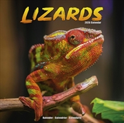 Buy Lizards Calendar 2026 Square Animal Wall Calendar - 16 Month