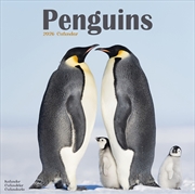 Buy Penguins Calendar 2026 Square Animal Wall Calendar - 16 Month