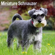 Buy Schnauzer Miniature Calendar 2026 Square Dog Breed Wall Calendar - 16 Month
