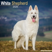 Buy White Shepherd Calendar 2026 Square Dog Breed Wall Calendar - 16 Month