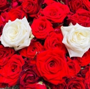 Buy Cut All The Red Threads Of Destiny That Run