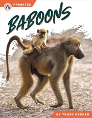 Buy Primates: Baboons