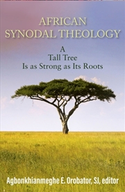 Buy African Synodal Theology