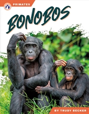 Buy Primates: Bonobos