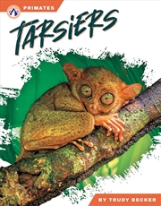 Buy Primates: Tarsiers