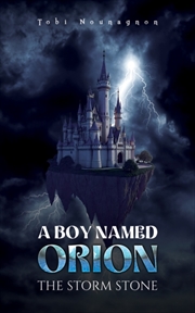Buy A Boy Named Orion: The Storm Stone