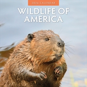 Buy Wildlife Of America 2026 Square Wall Calendar