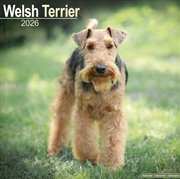 Buy Welsh Terriers 2026 Square Wall Calendar