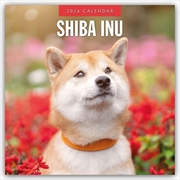 Buy Shiba Inu 2026 Square Wall Calendar