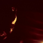 Buy Stormcrowfleet - 30th Anniversary Edition