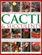 Buy Cacti & Succulents