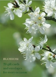 Buy Blossom Gift Card Box
