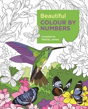 Buy Beautiful Colour By Numbers