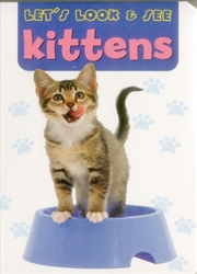 Buy Kittens