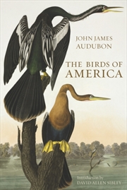 Buy Birds Of America