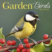Buy Garden Birds 2020 Calendar