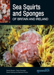 Buy Sponges And Sea Squirts Of Britain And D