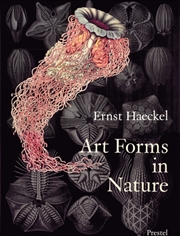 Buy Art Forms In Nature Ernst Haeckl Prints