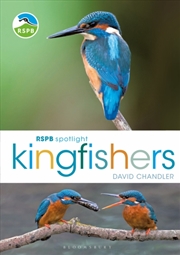 Buy Rspb Spotlight Kingfishers