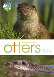 Buy Otters