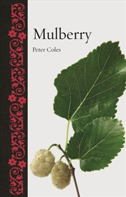 Buy Mulberry