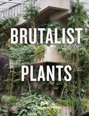 Buy Brutalist Plants