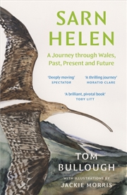 Buy Sarn Helen : A Journey Through Wales, Past, Present And Future