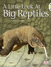 Buy Bug Club Guided Non Fiction Year 1 Blue B A Little Look At Big Reptiles