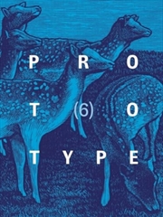 Buy Prototype 6