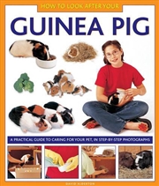 Buy How To Look After Your Guinea Pig
