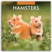 Buy Hamsters 2026 Square Wall Calendar