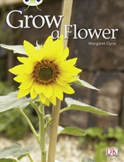 Buy Bug Club Independent Non Fiction Reception Red C Grow A Flower