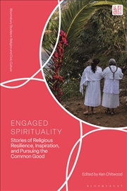 Buy Engaged Spirituality: Stories of Religious Resilience, Inspiration, andPursuing the Common Good