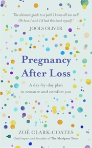 Buy Pregnancy After Loss : A Day-By-Day Plan To Reassure And Comfort You