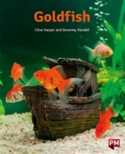 Buy Pm Orange Goldfish N Fic Lev16