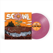 Buy How Flowers Grow - Violet Glitter Vinyl