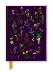 Buy Foiled Journal: Anna Stead, For Spells & Potions