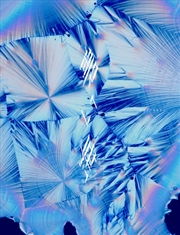 Buy Aoi Umi - Limited Edition