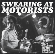 Buy 31 Seasons In The Minor Leagues