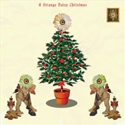 Buy Strange Daisy Christmas