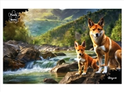 Buy Dingoes 1000Pc