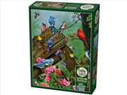 Buy Birds Of The Forest 1000Pc